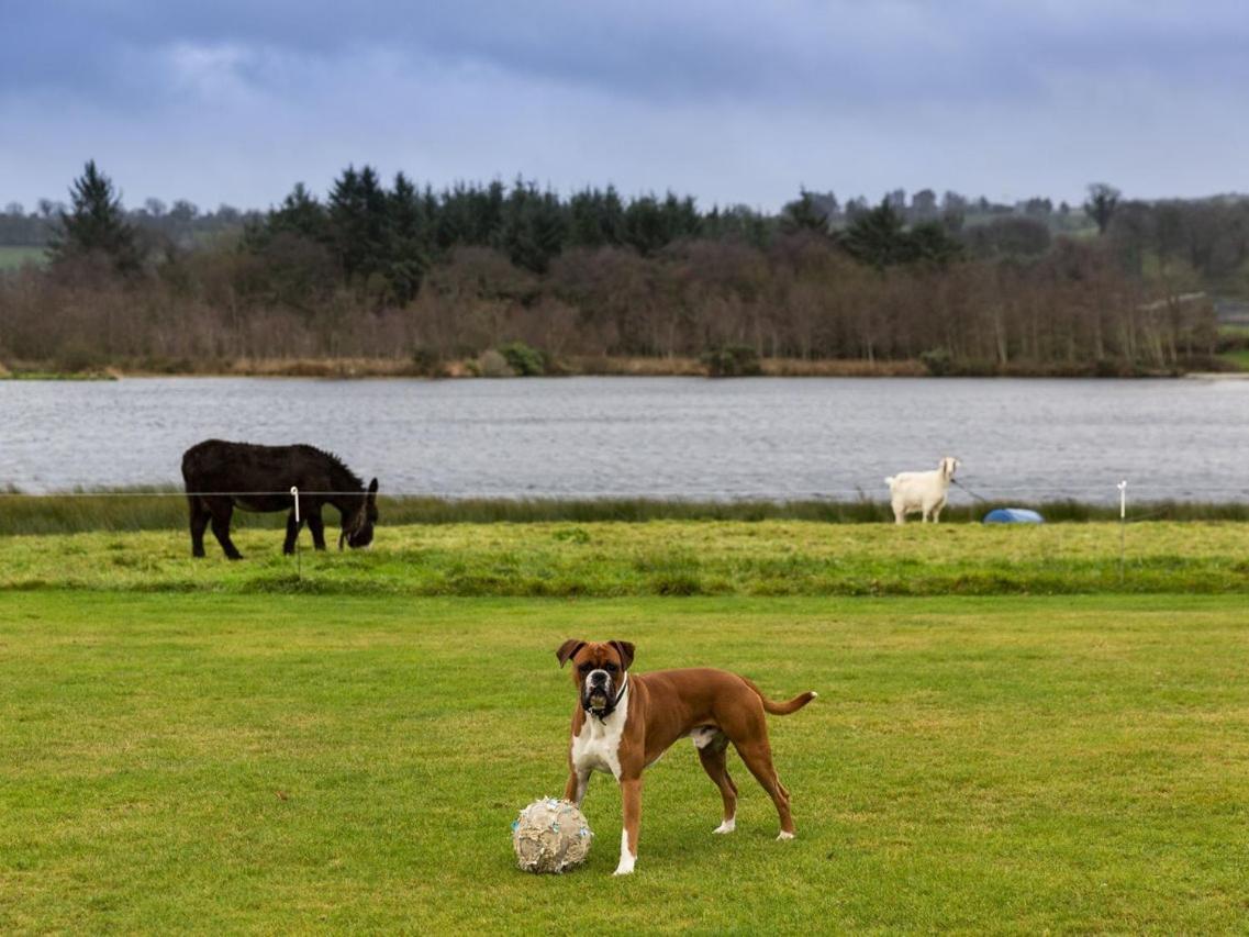 Lake House Dunmanway Экстерьер фото