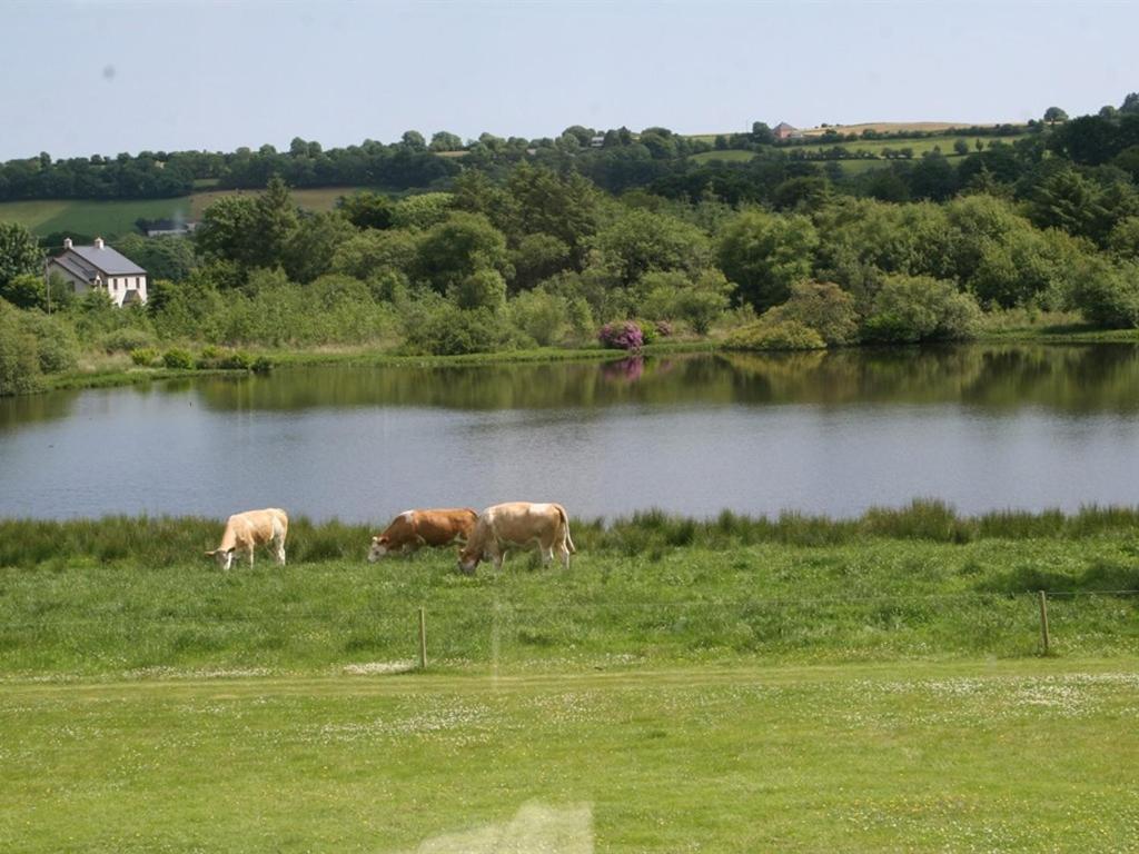 Lake House Dunmanway Экстерьер фото