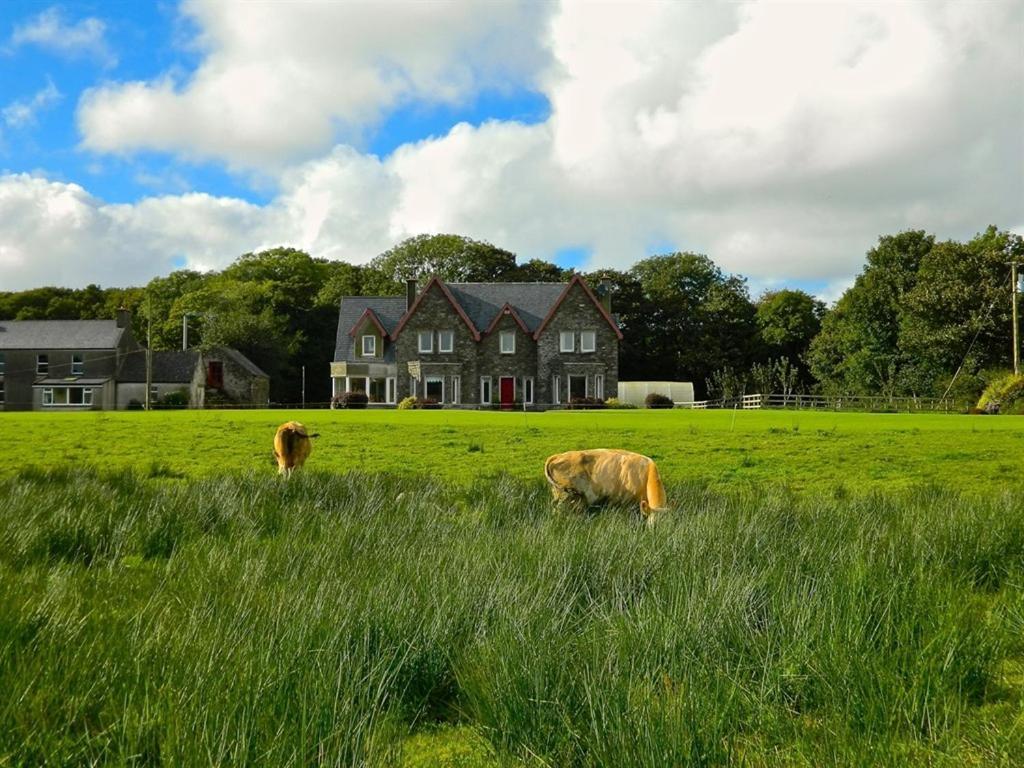 Lake House Dunmanway Экстерьер фото